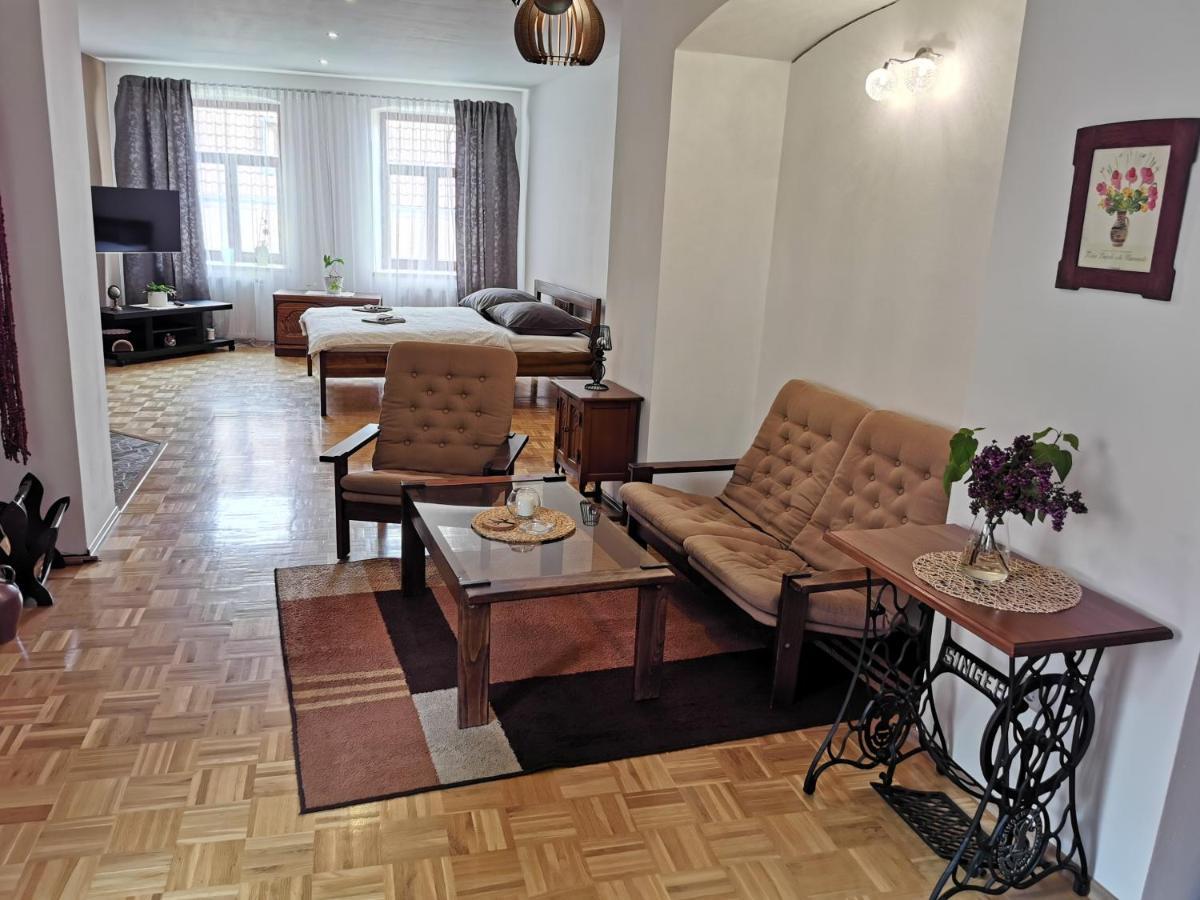 Apartman Antoninska 兹诺伊莫 外观 照片