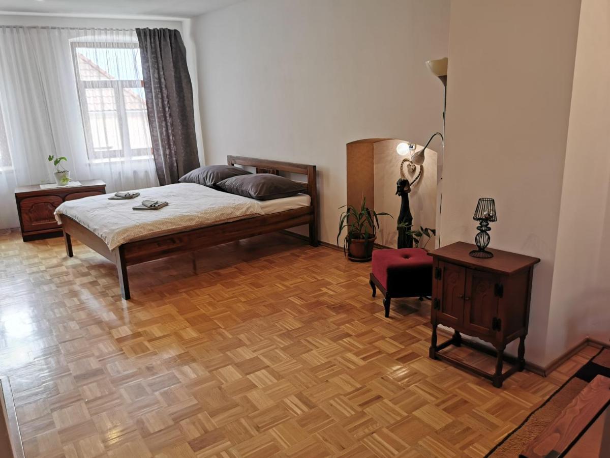 Apartman Antoninska 兹诺伊莫 外观 照片