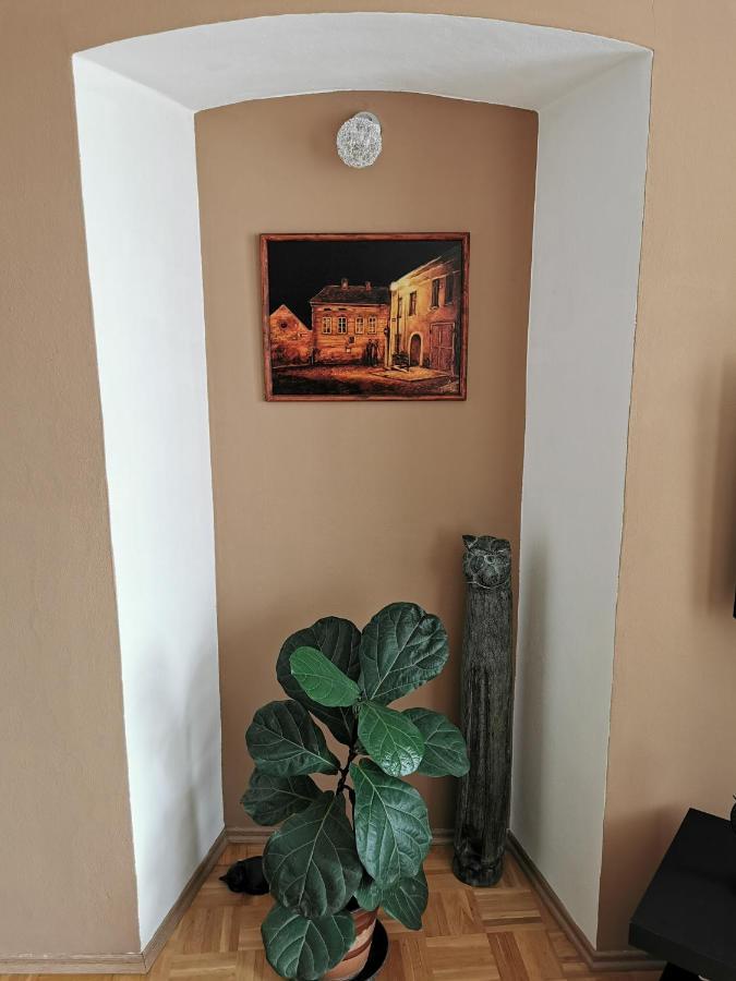 Apartman Antoninska 兹诺伊莫 外观 照片