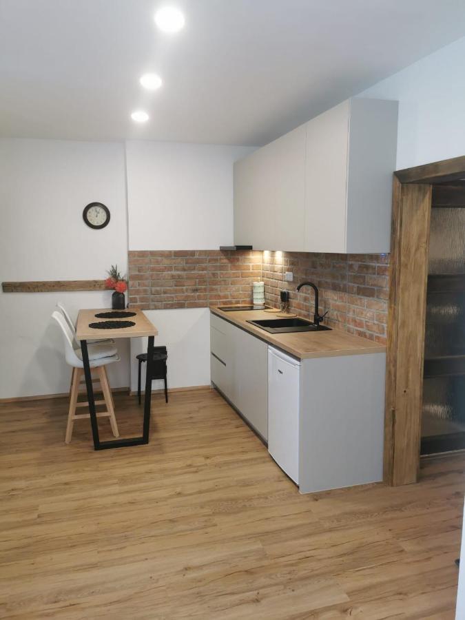 Apartman Antoninska 兹诺伊莫 外观 照片