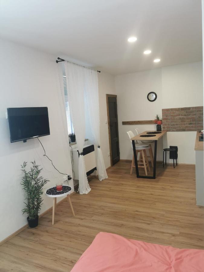Apartman Antoninska 兹诺伊莫 外观 照片