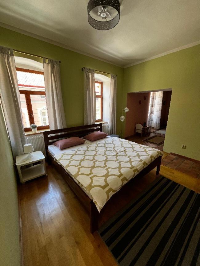 Apartman Antoninska 兹诺伊莫 外观 照片