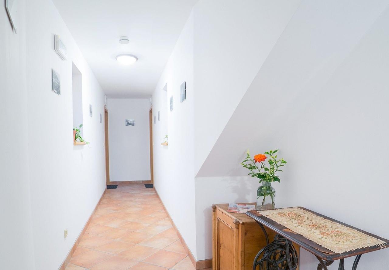 Apartman Antoninska 兹诺伊莫 外观 照片